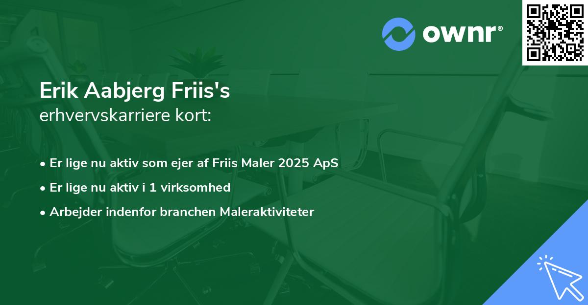 Erik Aabjerg Friis's erhvervskarriere kort