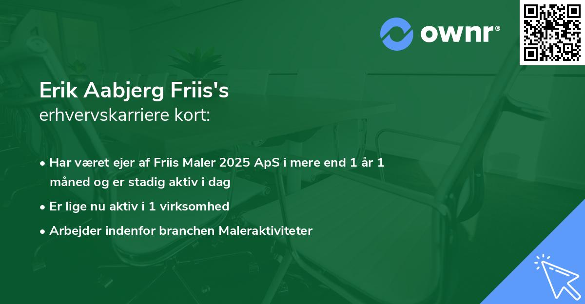 Erik Aabjerg Friis's erhvervskarriere kort