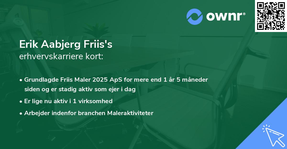 Erik Aabjerg Friis's erhvervskarriere kort