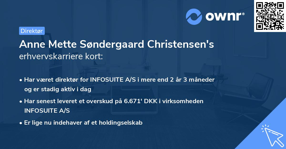 Anne Mette Søndergaard Christensen's erhvervskarriere kort