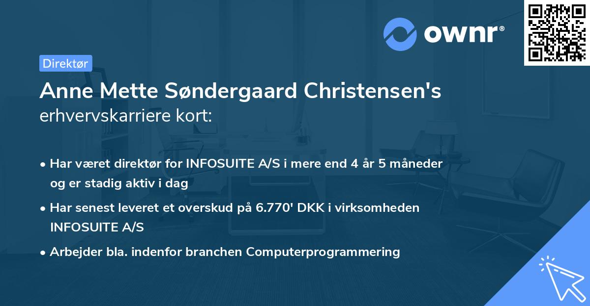 Anne Mette Søndergaard Christensen's erhvervskarriere kort