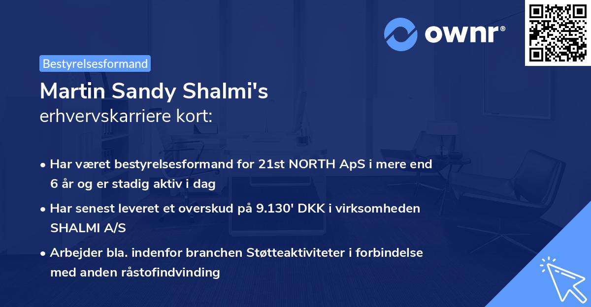 Martin Sandy Shalmi's erhvervskarriere kort