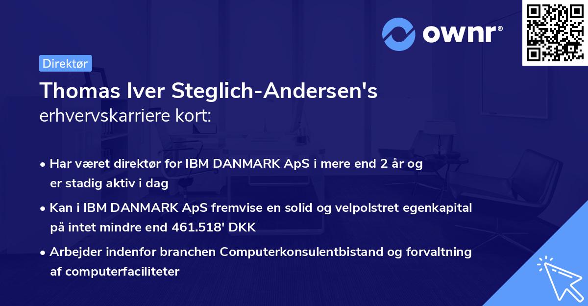 Thomas Iver Steglich-Andersen's erhvervskarriere kort