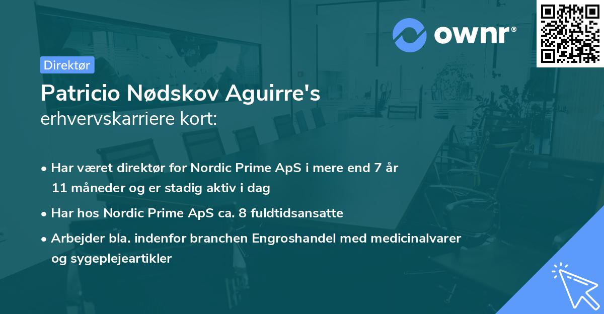 Patricio Nødskov Aguirre's erhvervskarriere kort