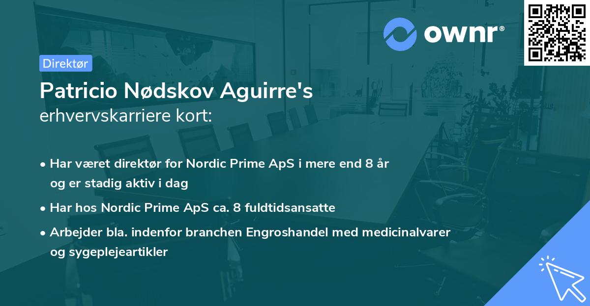Patricio Nødskov Aguirre's erhvervskarriere kort