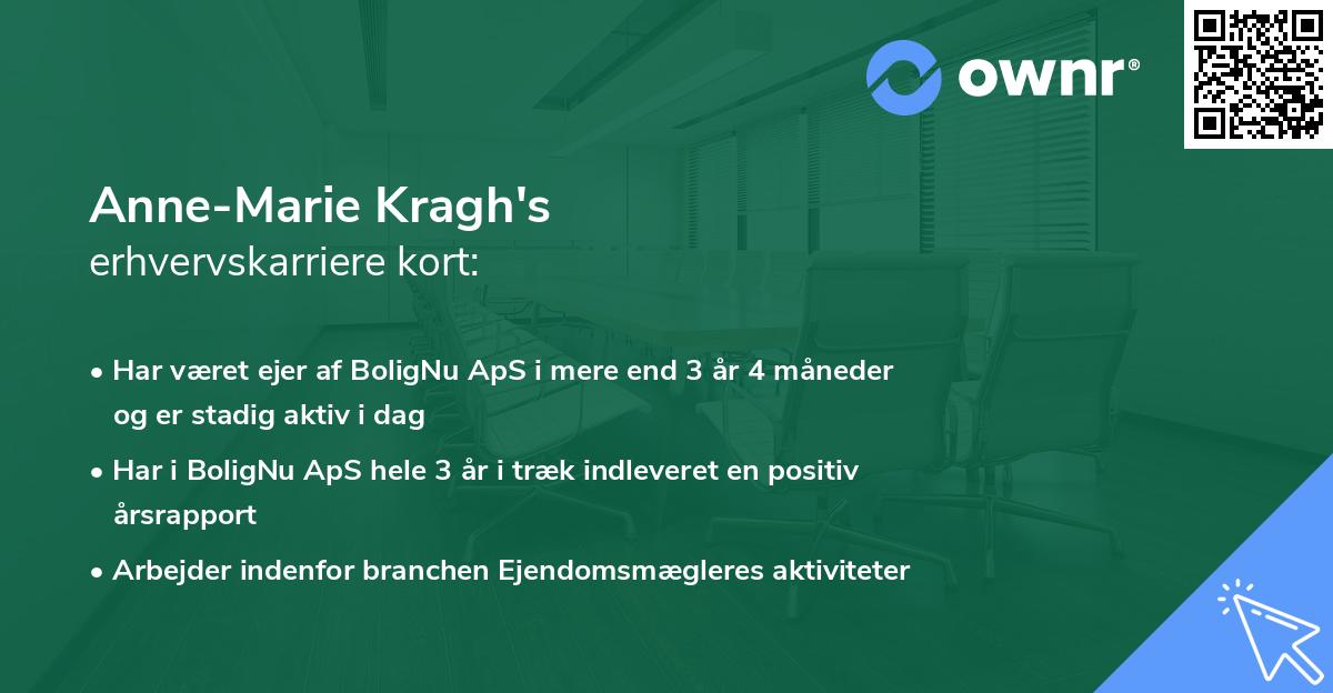 Anne-Marie Kragh's erhvervskarriere kort
