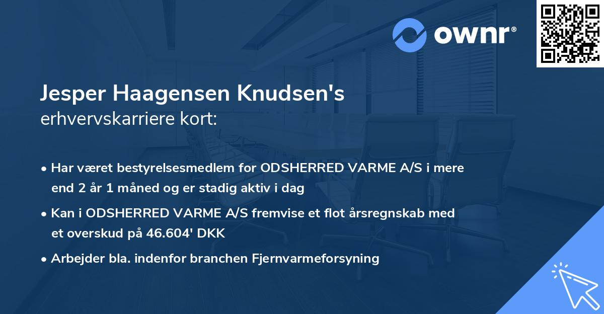 Jesper Haagensen Knudsen's erhvervskarriere kort