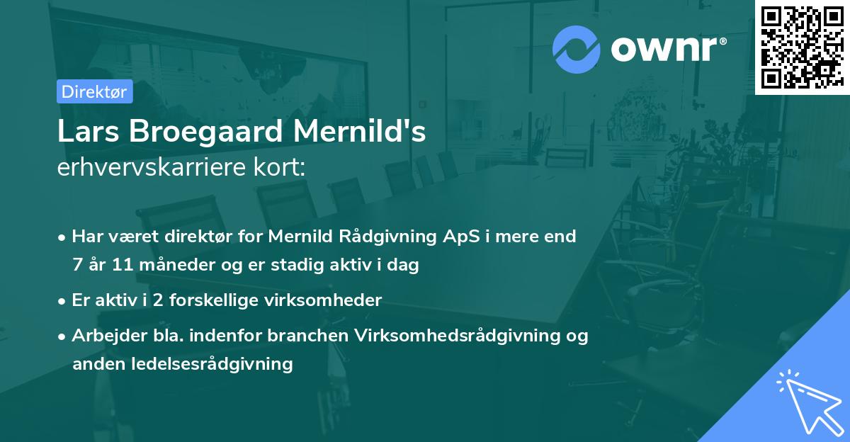 Lars Broegaard Mernild's erhvervskarriere kort