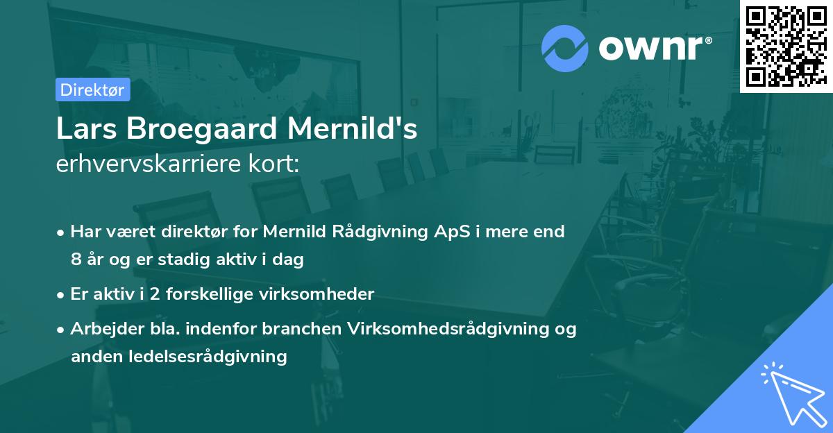 Lars Broegaard Mernild's erhvervskarriere kort