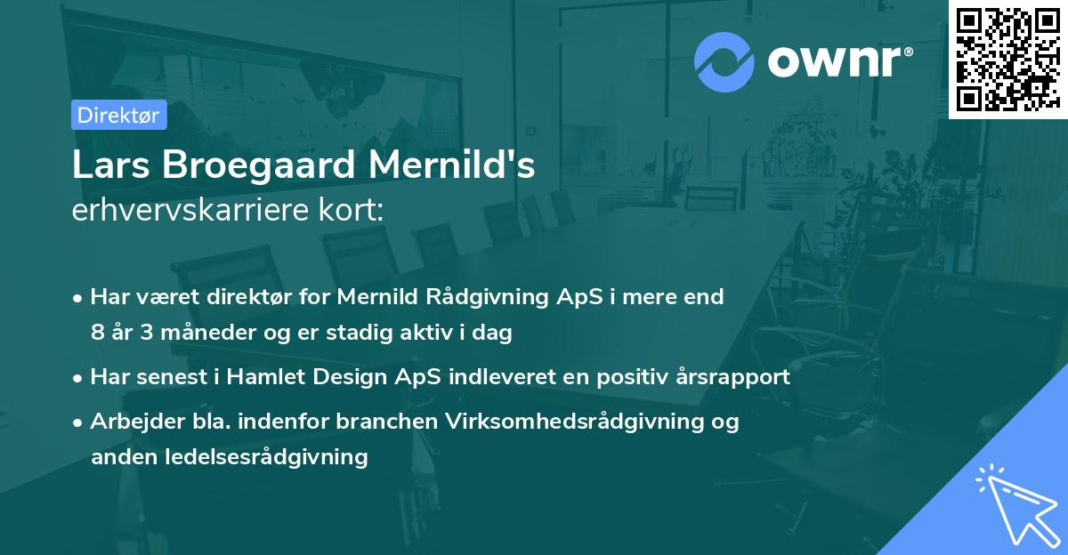 Lars Broegaard Mernild's erhvervskarriere kort