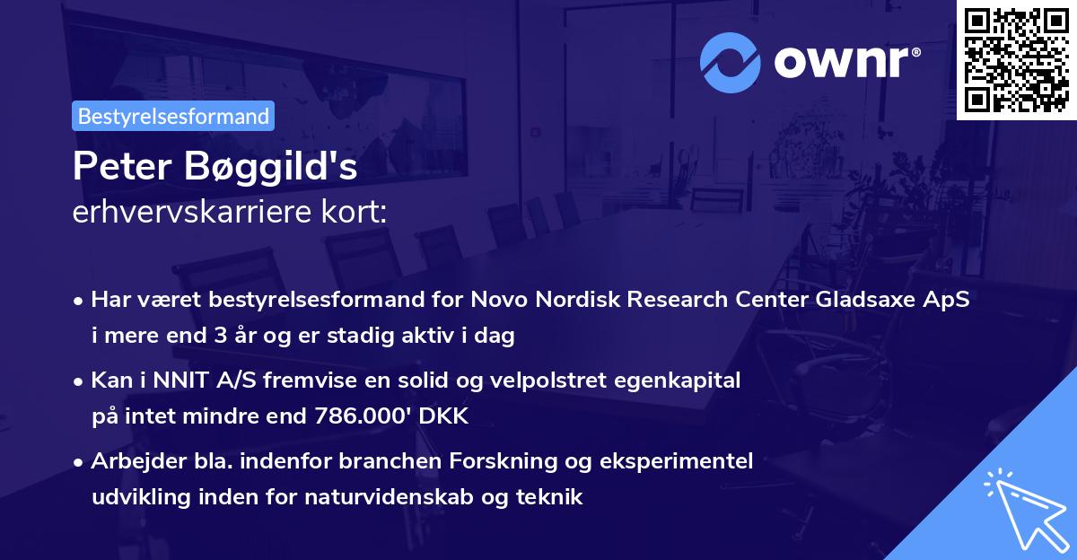 Peter Bøggild's erhvervskarriere kort