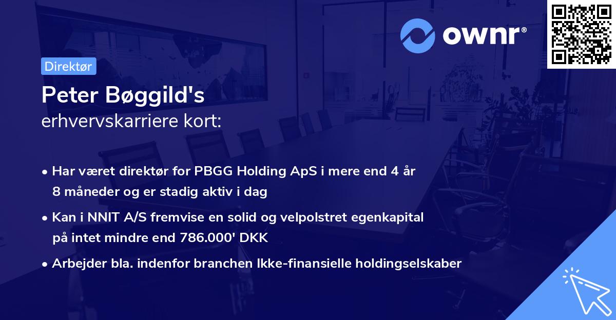 Peter Bøggild's erhvervskarriere kort