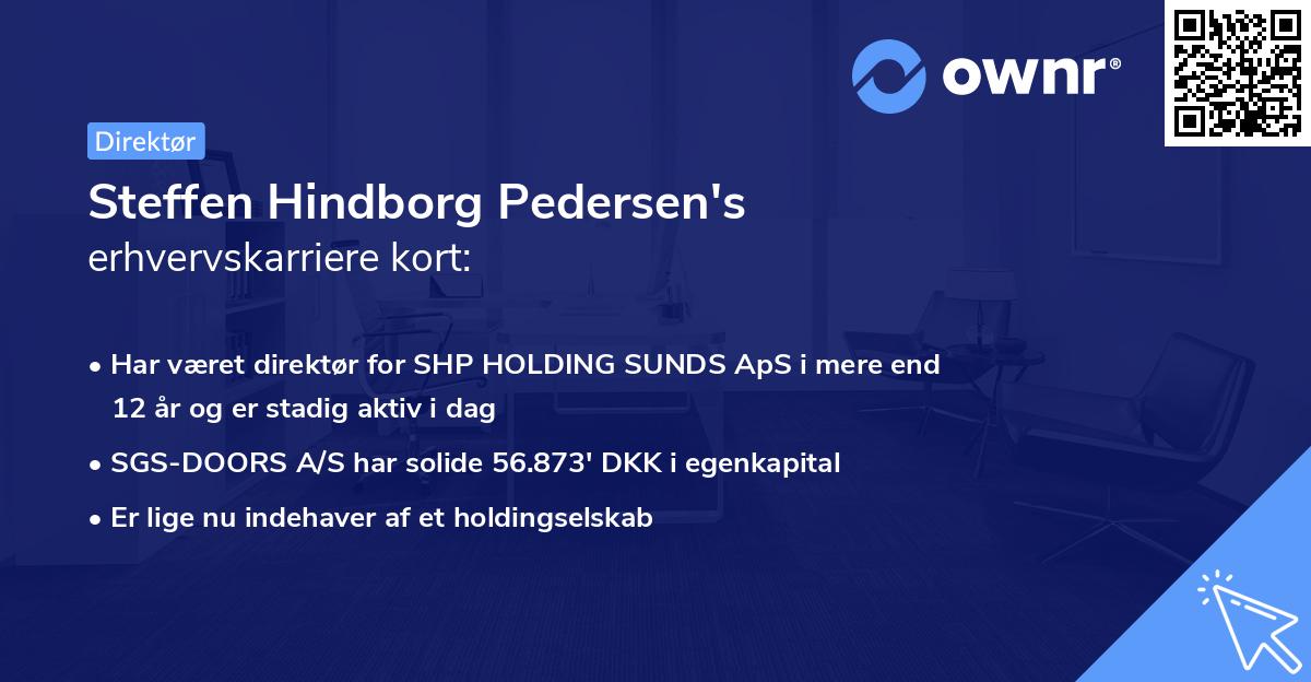Steffen Hindborg Pedersen's erhvervskarriere kort