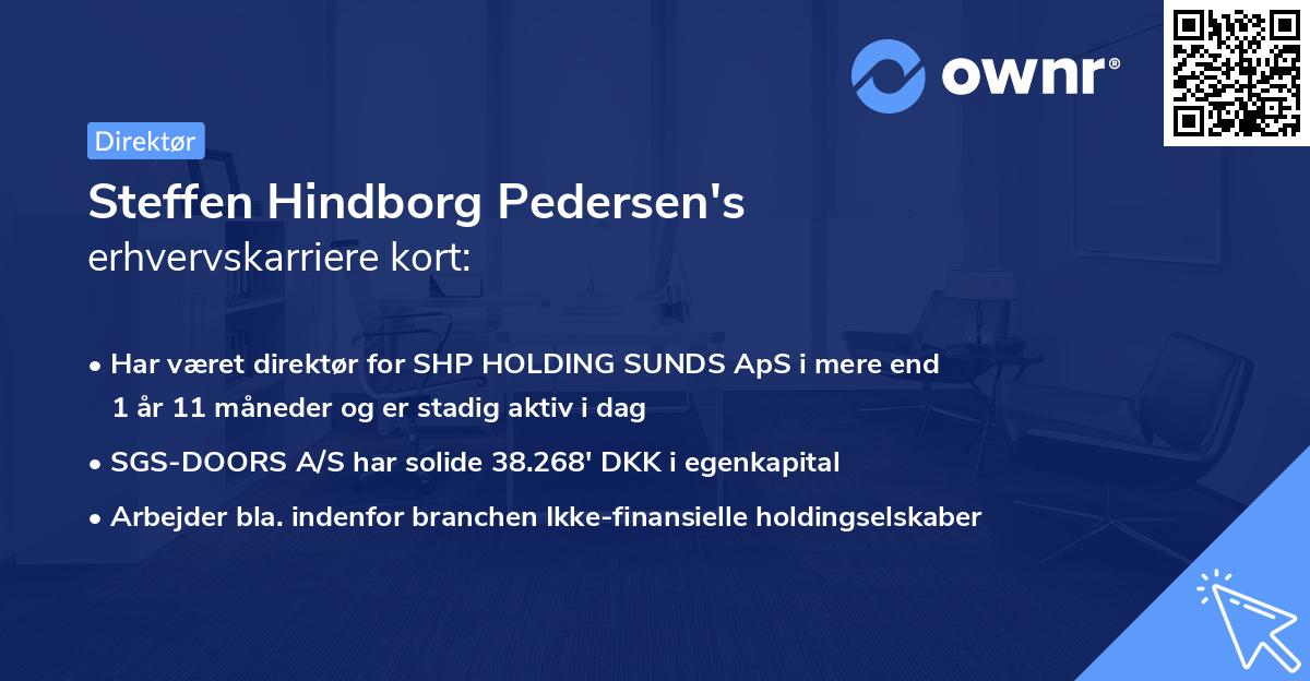 Steffen Hindborg Pedersen's erhvervskarriere kort