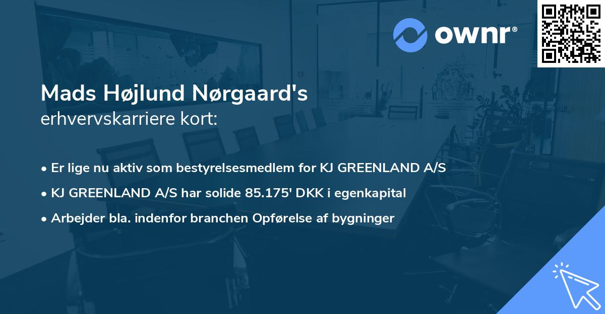 Mads Højlund Nørgaard's erhvervskarriere kort
