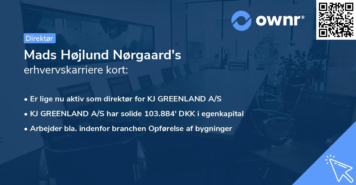 Mads Højlund Nørgaard's erhvervskarriere kort