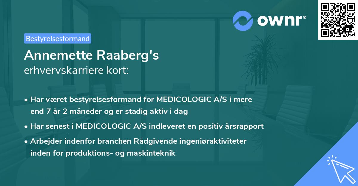 Annemette Raaberg's erhvervskarriere kort