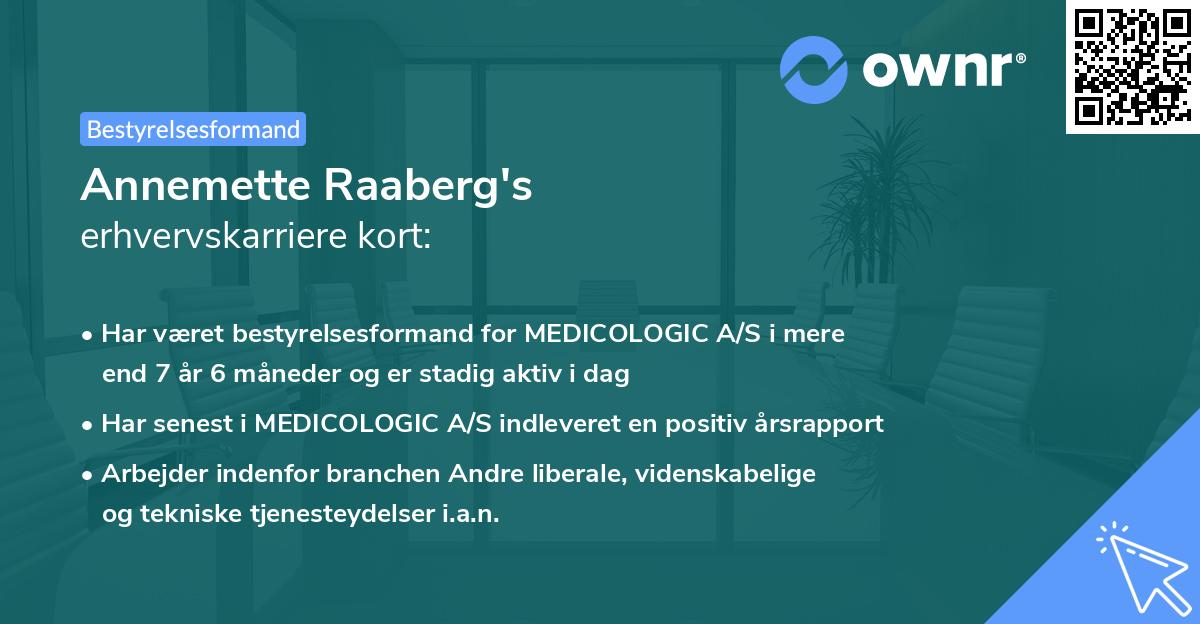 Annemette Raaberg's erhvervskarriere kort