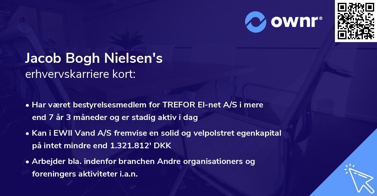 Jacob Bogh Nielsen's erhvervskarriere kort