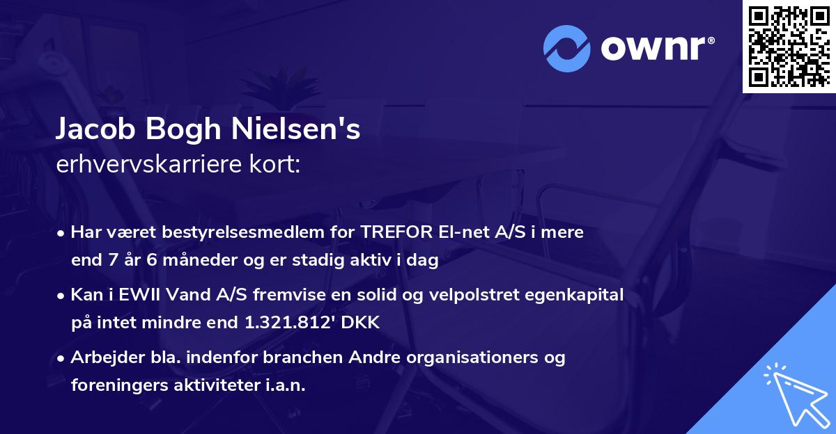 Jacob Bogh Nielsen's erhvervskarriere kort
