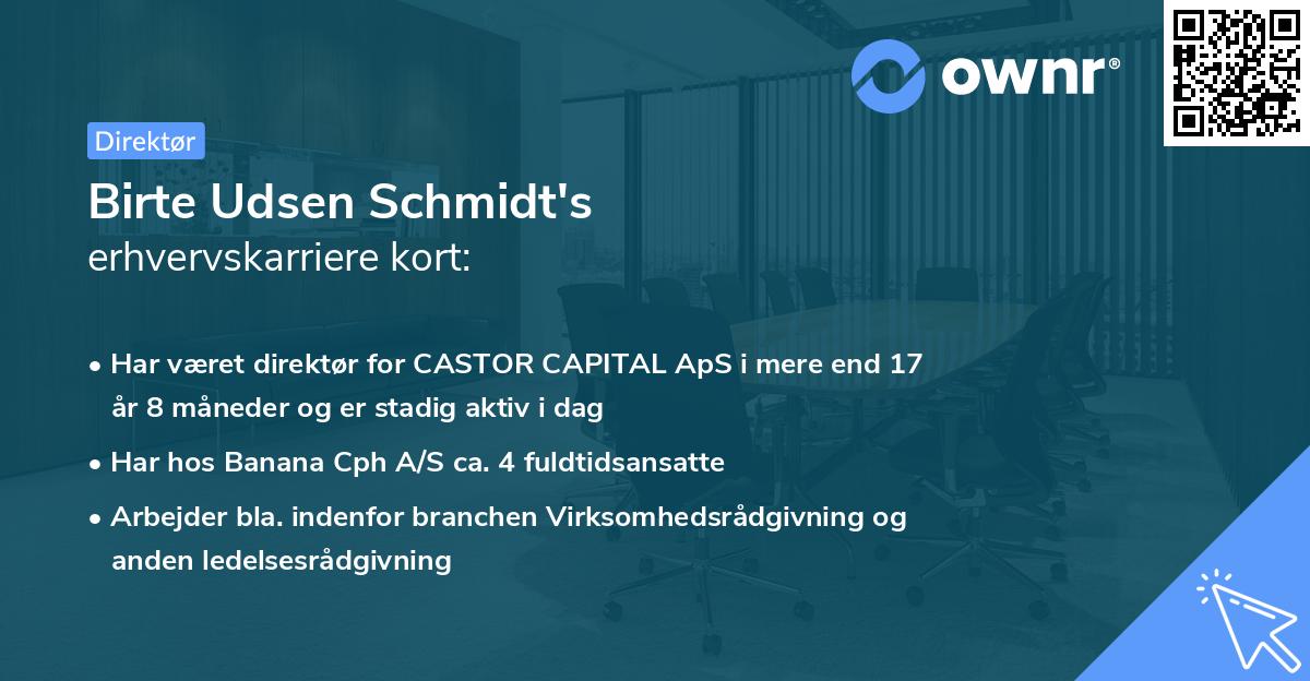 Birte Udsen Schmidt's erhvervskarriere kort