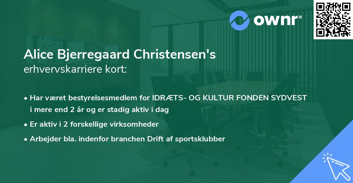 Alice Bjerregaard Christensen's erhvervskarriere kort