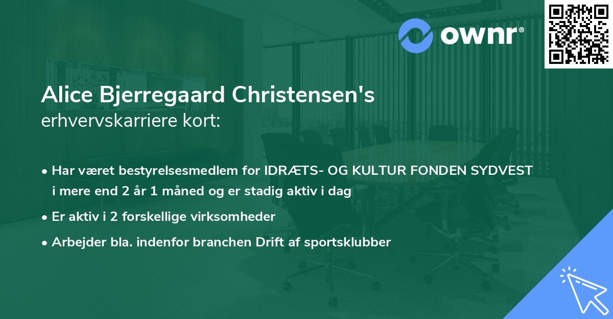 Alice Bjerregaard Christensen's erhvervskarriere kort