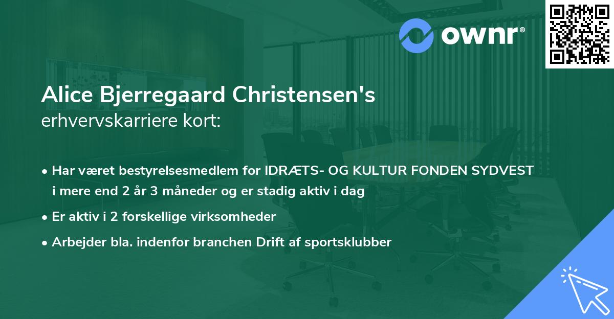 Alice Bjerregaard Christensen's erhvervskarriere kort