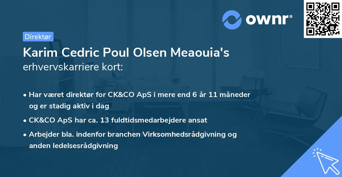 Karim Cedric Poul Olsen Meaouia's erhvervskarriere kort