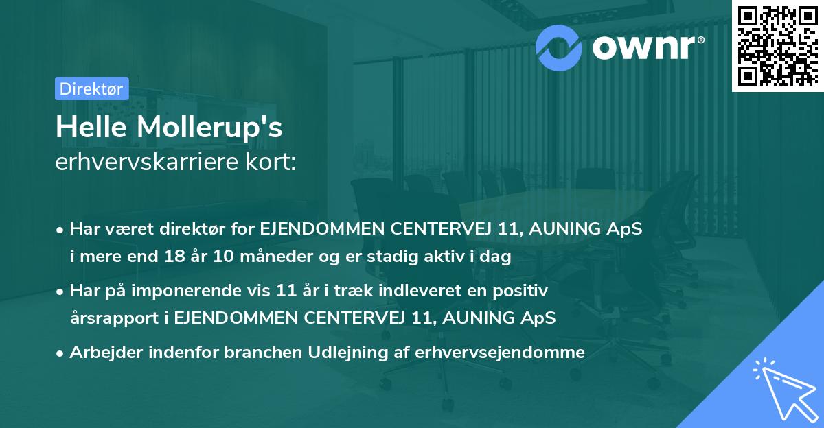 Helle Mollerup's erhvervskarriere kort