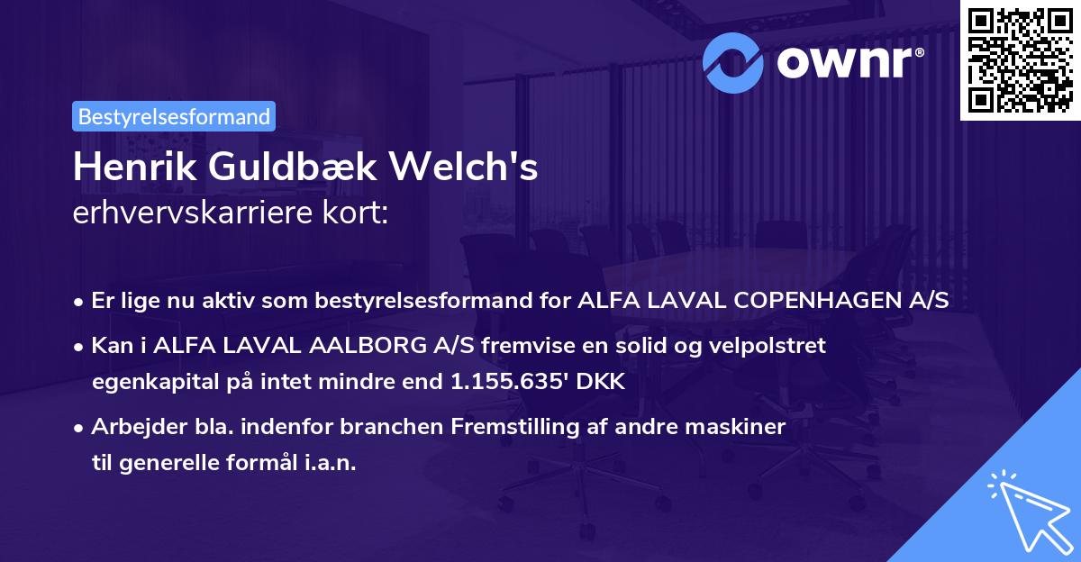 Henrik Guldbæk Welch's erhvervskarriere kort