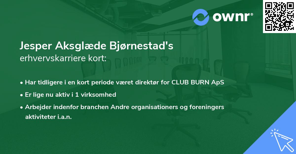 Jesper Aksglæde Bjørnestad's erhvervskarriere kort