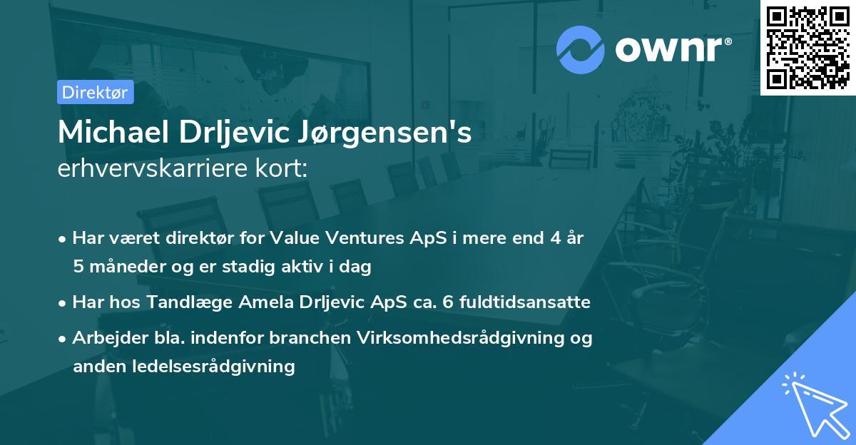 Michael Drljevic Jørgensen's erhvervskarriere kort