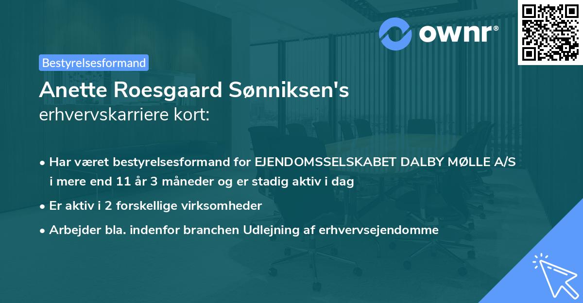 Anette Roesgaard Sønniksen's erhvervskarriere kort