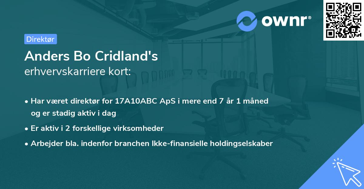 Anders Bo Cridland's erhvervskarriere kort