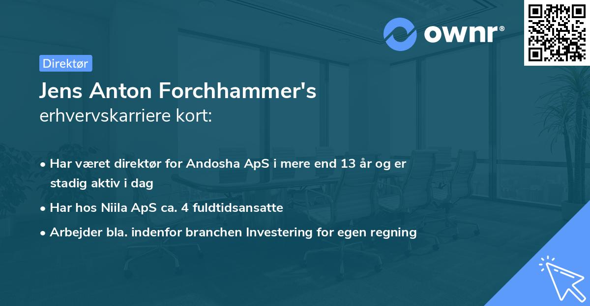 Jens Anton Forchhammer's erhvervskarriere kort