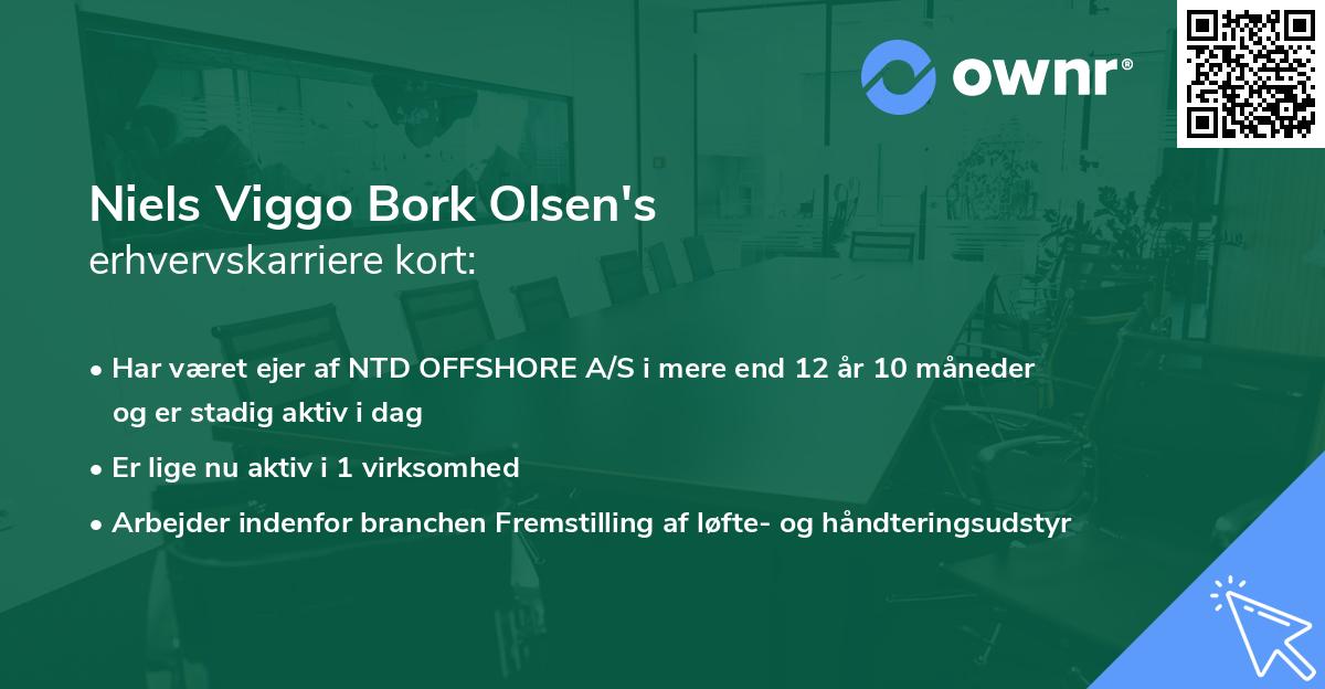 Niels Viggo Bork Olsen's erhvervskarriere kort