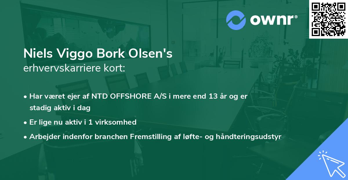 Niels Viggo Bork Olsen's erhvervskarriere kort