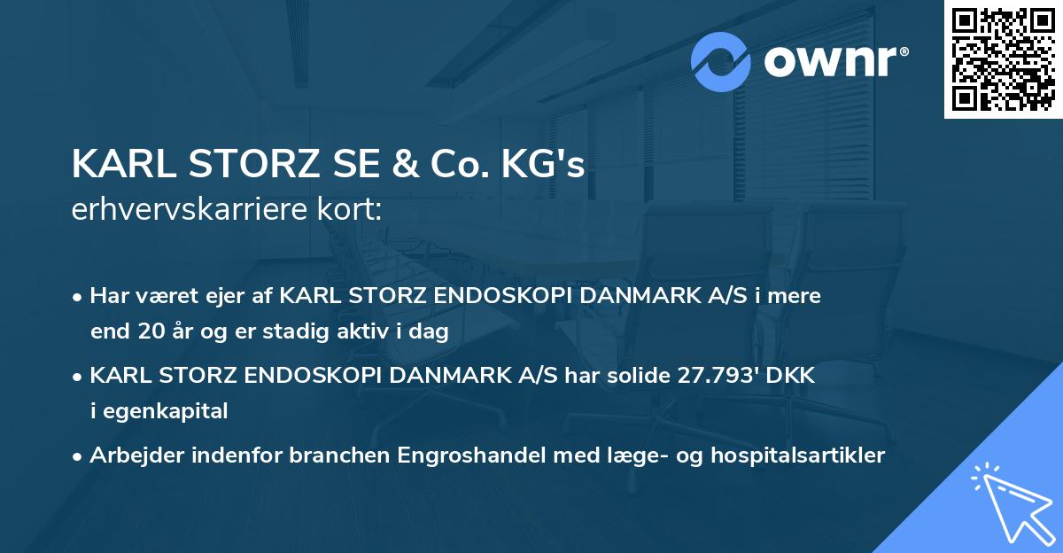 KARL STORZ SE & Co. KG's erhvervskarriere kort