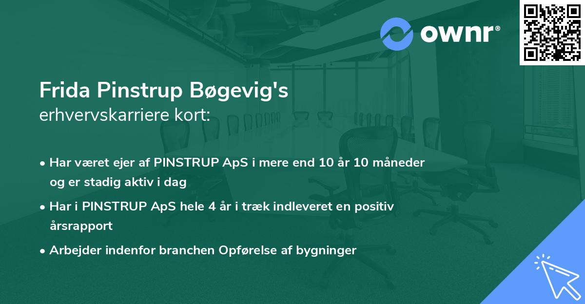Frida Pinstrup Bøgevig's erhvervskarriere kort
