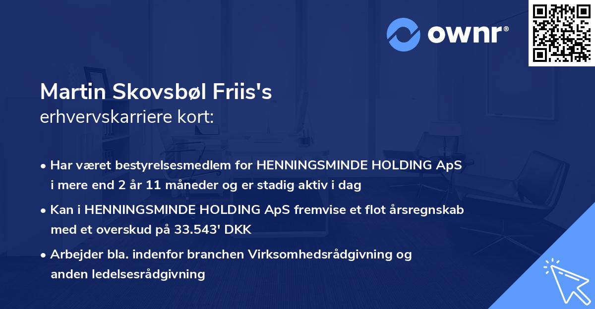 Martin Skovsbøl Friis's erhvervskarriere kort