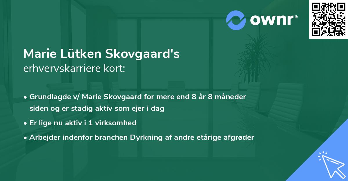 Marie Lütken Skovgaard's erhvervskarriere kort