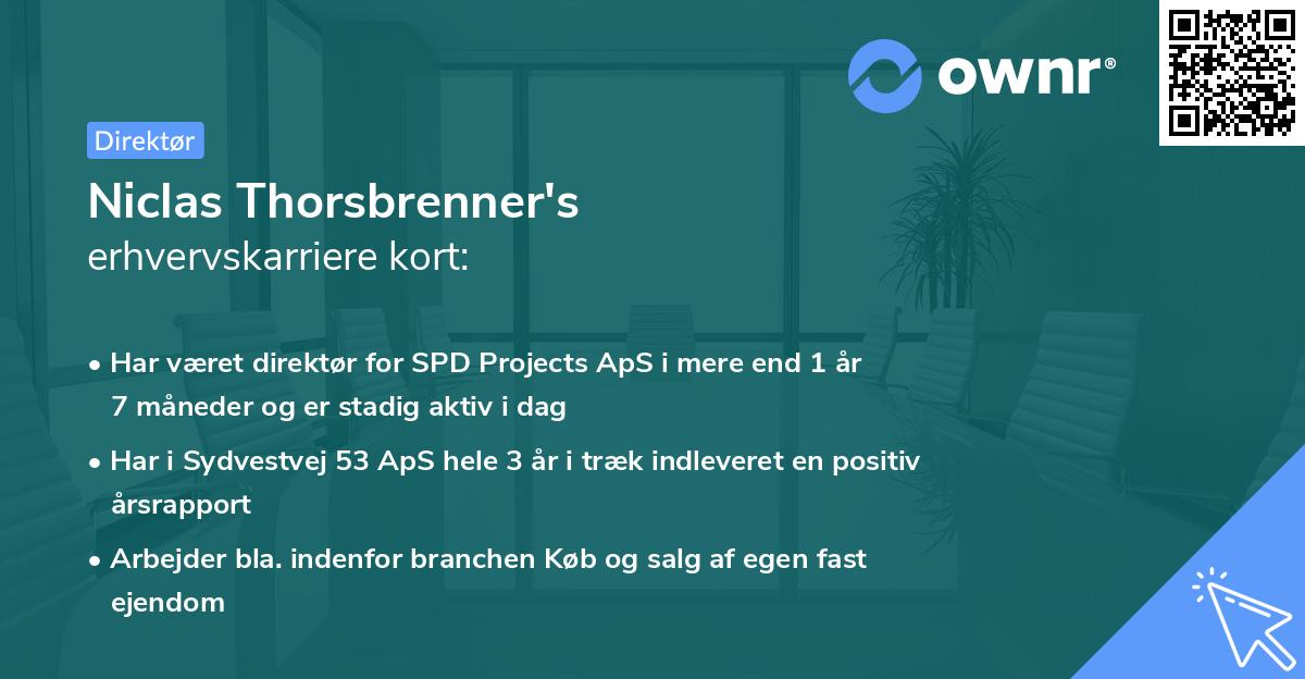 Niclas Thorsbrenner's erhvervskarriere kort