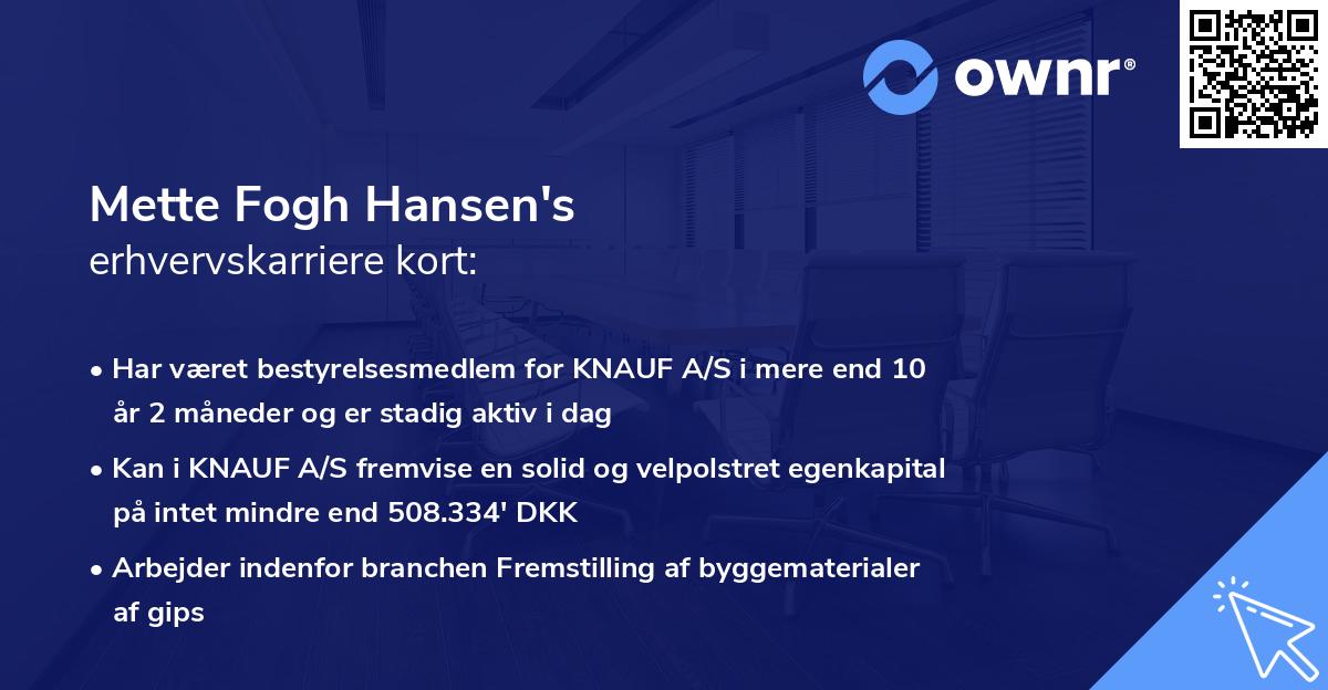 Mette Fogh Hansen's erhvervskarriere kort