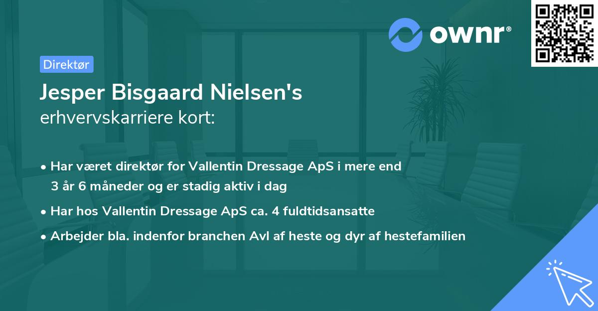 Jesper Bisgaard Nielsen's erhvervskarriere kort