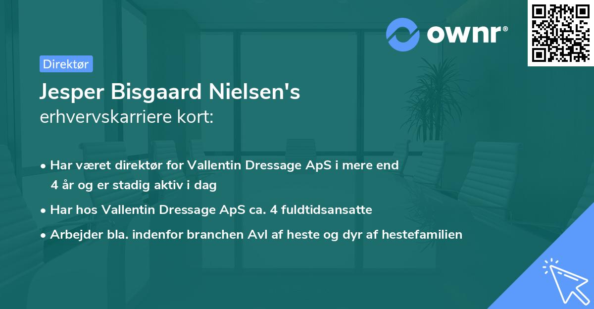 Jesper Bisgaard Nielsen's erhvervskarriere kort