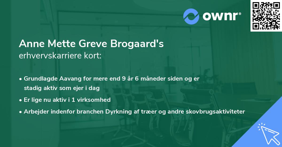 Anne Mette Greve Brogaard's erhvervskarriere kort