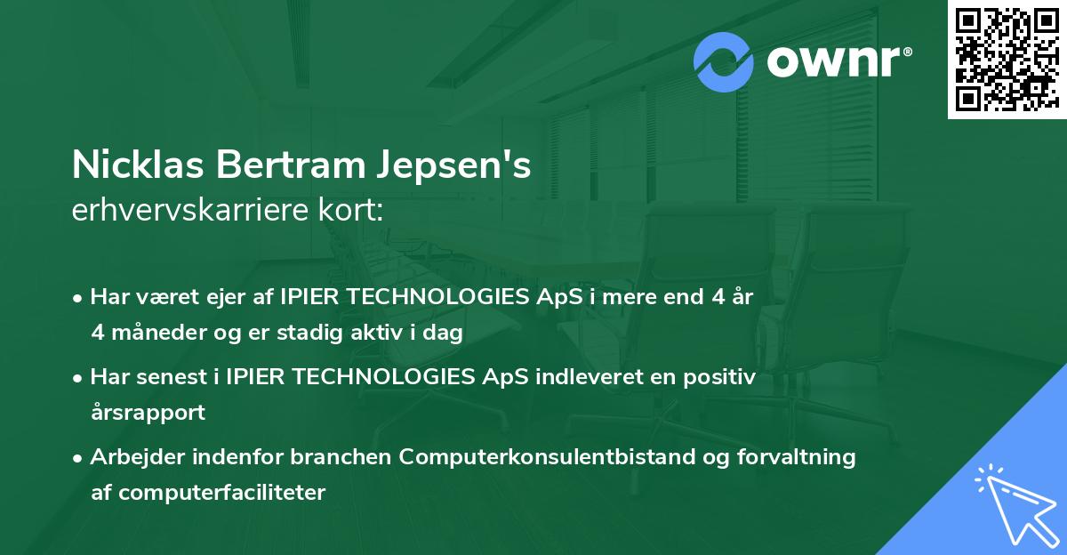 Nicklas Bertram Jepsen's erhvervskarriere kort