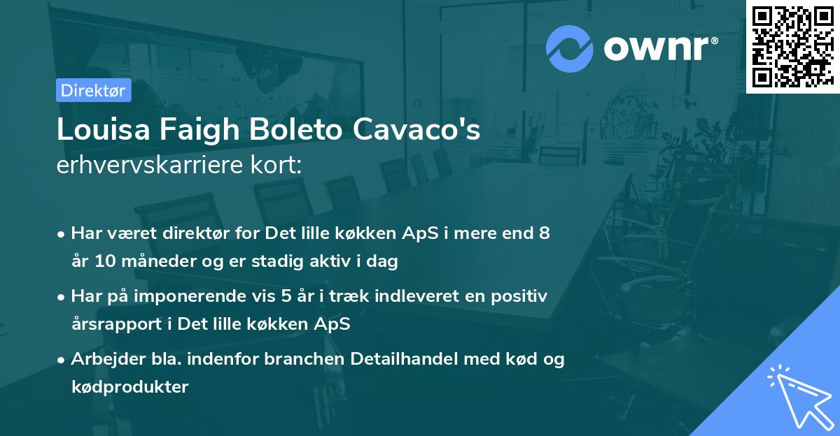 Louisa Faigh Boleto Cavaco's erhvervskarriere kort