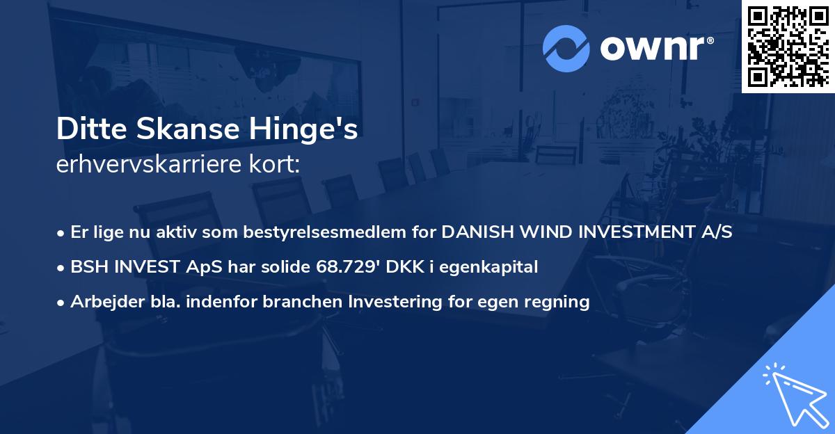 Ditte Skanse Hinge's erhvervskarriere kort